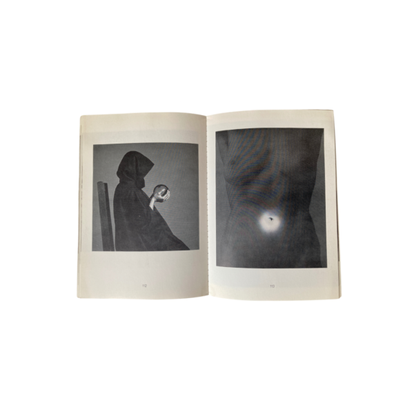 Lady Lisa Lyon - Image 3