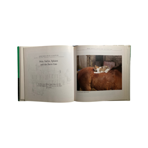 Castle Cats - Image 3