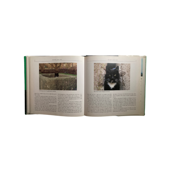 Castle Cats - Image 4