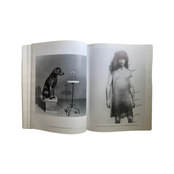 Paintings, Drawings, Photographs, Videotapes - Image 2