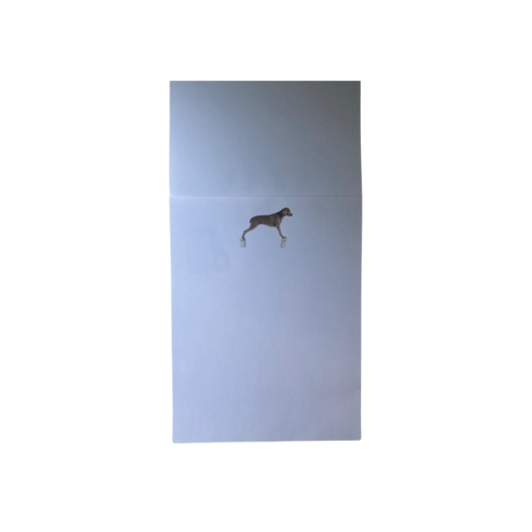William Wegman Letterheads - Image 2