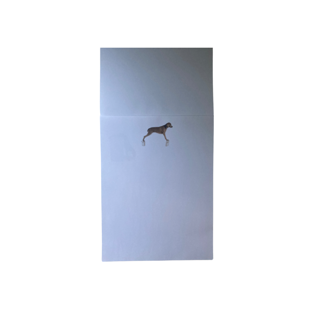 Untitled design - 2