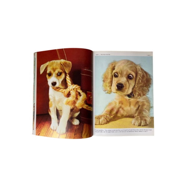 Fluffy Humpy Poopy Puppy - A Ruff Dog-Eared Look At Man's Best Friend - Image 2