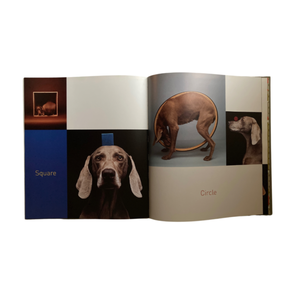 Wegmanology - Image 5