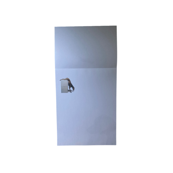 William Wegman Letterheads - Image 3