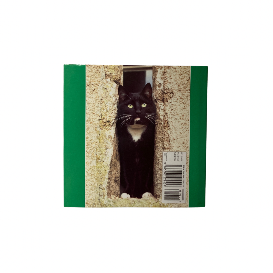 Untitled design - 8