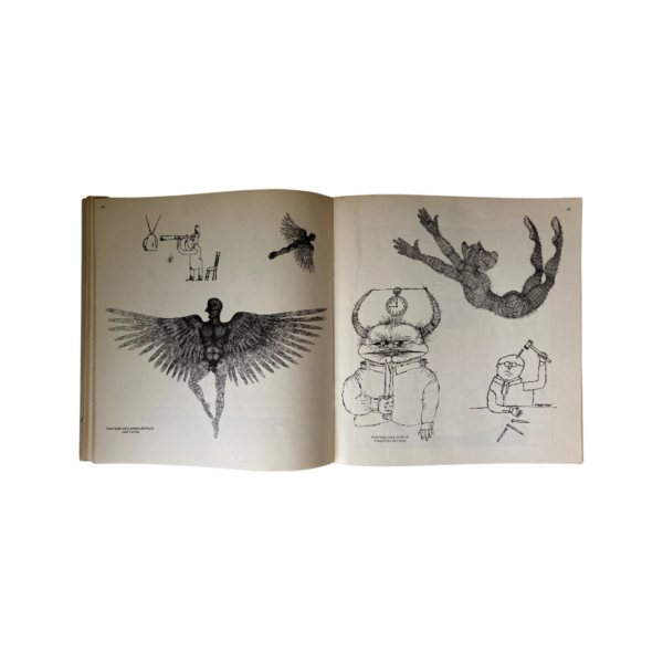 Albert Piauí - Image 6